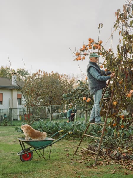 Not a Rural House